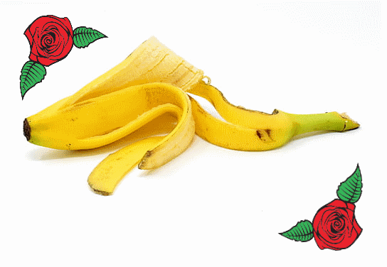 banana peels fertilizer for rose flowering